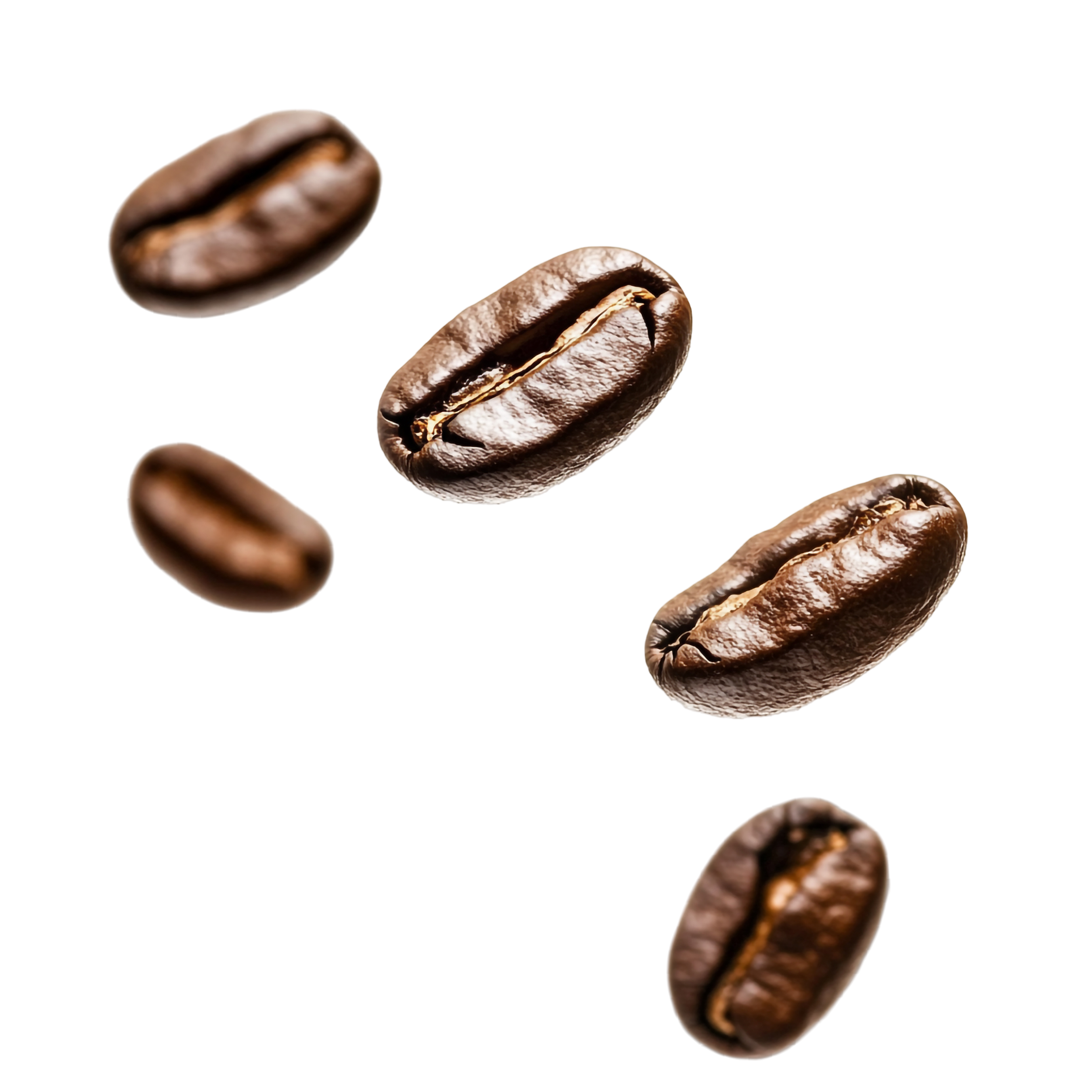 mobile coffee catering mobile coffee catering