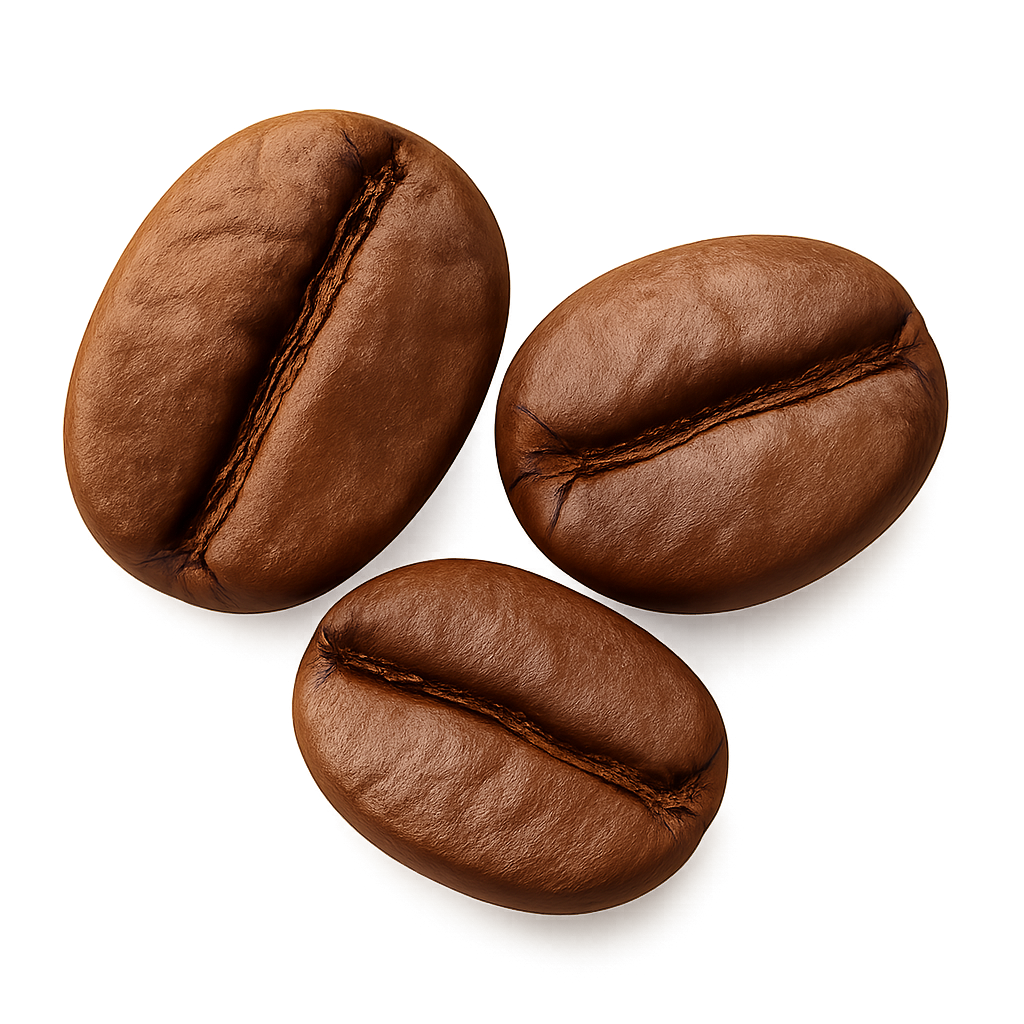 three coffee beans Coffee Beans